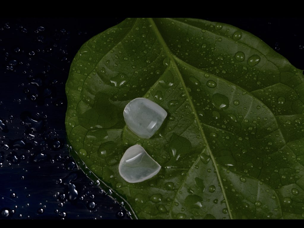 网站病例照片.006.jpeg