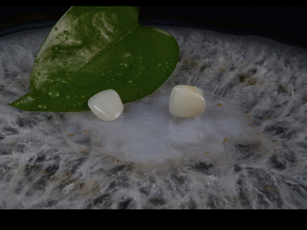 网站病例照片11.005.jpeg